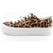 Kengät O'neill  Spinna C  36