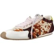 Kengät Kurt Geiger London  Islington Sneaker Opnbwn  39