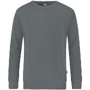 Svetari Jako  Sweatshirt  Organic gris  EU S
