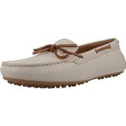 Kengät Geox  Mocasines Mujer Modèle D Kalistena  36