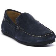 Kengät Valleverde  SUEDE ROYAL  40