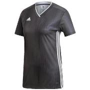 Lyhythihainen t-paita adidas  T-shirt  Tiro 19 gris  EU M