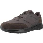 Kengät Geox  Sport   Zapatillas Hombre Modèle U Klaiver  41