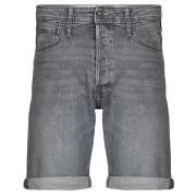 Shortsit & Bermuda-shortsit Jack & Jones  JJIRICK  EU XXL