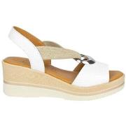 Sandaalit Zapp  1612  36