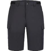 Shortsit & Bermuda-shortsit Icepeak  Braswell  EU XXL