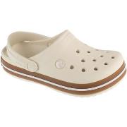 Lasten Puukengät Crocs  Crocband Gum Clog K  36 / 37