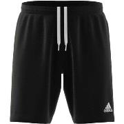 Shortsit & Bermuda-shortsit adidas  Ent22 Tr Sho  EU XXL