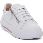 Kengät Clarks  26185917  38