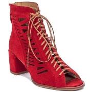 Kengät Maciejka  4040S08005  37