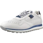 Kengät Cetti  Sport   Zapatillas Hombre Modèle C848 V26  46