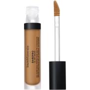 bareMinerals BarePro All Over Skin Perfecting Conceal Medium 300 Warm ...