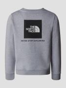 THE NORTH FACE Teen Redbox Regular Crew Kids Neulepaita harmaa