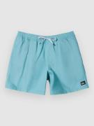 Quiksilver Everyday Solid Volley 15 Surffishortsit sininen