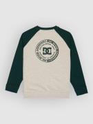 DC Corpo Raglan Crew Kids Neulepaita vihreä