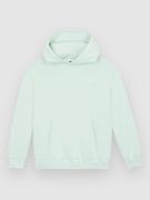 Volcom Single Stone Po Kids Huppari sininen