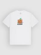 Element Sound Of Nature T-paita valkoinen