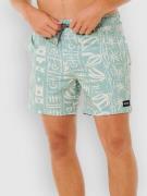 Rip Curl Sessions Volley Surffishortsit sininen