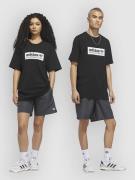 adidas Skateboarding Skt WTR Surffishortsit harmaa