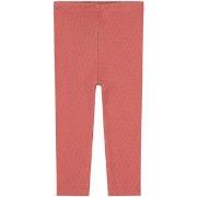 Mini Sibling Jersey Pants Brick Red 3-6 Months
