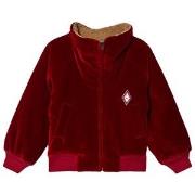 The Animals Observatory Tiger Kids Bomber Jacket Red Logo 3 Years
