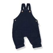 1+ in the family Aritz Overalls Blue Notte 6 Months