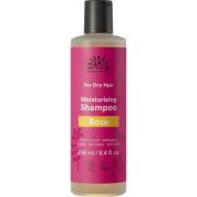 Urtekram Rose Shampoo kuiville hiuksille 250 ml