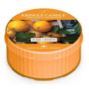 Kringle Candle Iced Citrus Daylight  12 kpl