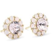 Lily and Rose Miss Sofia earrings  Light amethyst