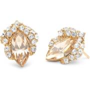Lily and Rose Petite Camille stud earrings - Golden shadow  Golde