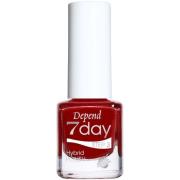 Depend 7day Holiday Selection 70125