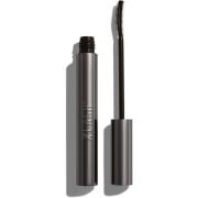 Xlash Drama Tinted Primer 6,3 ml