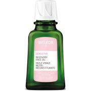 Weleda Sensitive Recovery Face Oil 50 ml