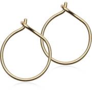 Blomdahl Golden Titanium Ear Ring 14 mm, Round 8 mm Black diamond