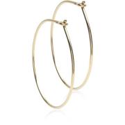 Blomdahl Golden Titanium Ear Ring 25 mm