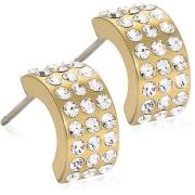 Blomdahl Golden Titanium Half ball 8 mm