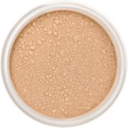Lily Lolo Mineral Foundation Cookie SPF15
