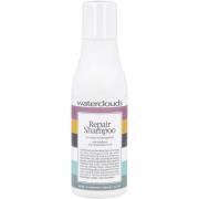 Waterclouds   Repair Shampoo 70 ml