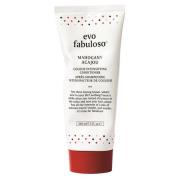 Evo Fabuloso Colour Intensifying Conditioner Mahogany