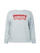 Levi's® Plus Collegepaita 'PL Graphic Standard Crew'  meleerattu harma...