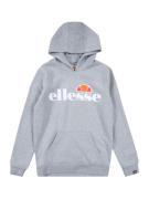 ELLESSE Collegepaita 'Isoble'  meleerattu harmaa / mandariini / grenad...