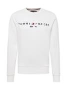 TOMMY HILFIGER Collegepaita  laivastonsininen / punainen / valkoinen