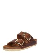 BIRKENSTOCK Pistokkaat 'Arizona'  ruskea