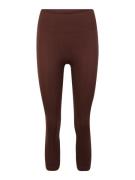 Nasty Gal Petite Leggingsit  ruosteenruskea