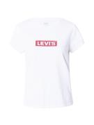 LEVI'S ® Paita 'Graphic Authentic Tshirt'  punainen / valkoinen