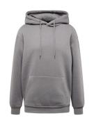 ABOUT YOU Collegepaita 'Dian Hoodie'  antrasiitti
