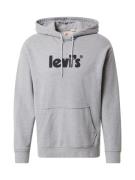 LEVI'S ® Collegepaita 'Relaxed Graphic Hoodie'  meleerattu harmaa / mu...