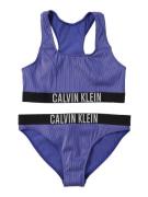 Calvin Klein Swimwear Bikini  tummanvioletti / musta / valkoinen