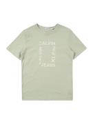 Calvin Klein Jeans Paita 'MAXI HERO'  beige / vihreä