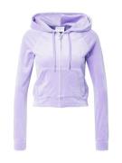 Juicy Couture Collegetakki 'Madison'  vaaleanvioletti / hopea